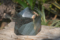 Polished Bloodstone With Pyrite Point x 1 From Swaziland