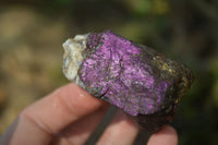 Natural Metallic Purpurite Cobbed Specimens x 12 From Erongo, Namibia