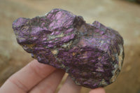 Natural Metallic Purpurite Cobbed Specimens x 12 From Erongo, Namibia