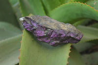 Natural Metallic Purpurite Cobbed Specimens x 12 From Erongo, Namibia