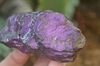 Natural Metallic Purpurite Cobbed Specimens x 12 From Erongo, Namibia