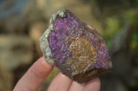 Natural Metallic Purpurite Cobbed Specimens x 12 From Erongo, Namibia