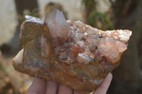 Natural Red Hematoid Quartz Crystal Specimens x 3 From Zimbabwe