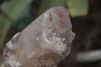 Natural Red Hematoid Quartz Crystal Specimens x 3 From Zimbabwe