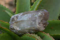 Natural Red Hematoid Quartz Crystal Specimens x 3 From Zimbabwe