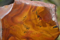 Polished On One Side Nguni Jasper Specimens x 2 From Prieska, South Africa