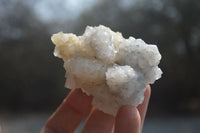 Natural Drusy Mountain Quartz Specimens x 12 From Alberts Mountain, Lesotho