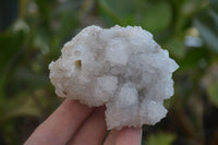 Natural Drusy Mountain Quartz Specimens x 12 From Alberts Mountain, Lesotho