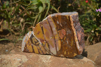 Polished On One Side Nguni Jasper Specimen x 1 From Prieska, South Africa