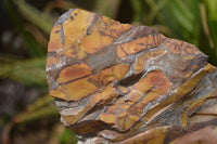 Polished On One Side Nguni Jasper Specimen x 1 From Prieska, South Africa