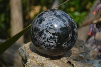 Polished Gabbro / Merlinite Sphere x 1 From Madagascar