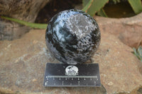 Polished Gabbro / Merlinite Sphere x 1 From Madagascar