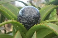 Polished Gabbro / Merlinite Sphere x 1 From Madagascar