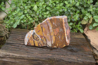 Polished On One Side Nguni Jasper Specimen x 1 From Prieska, South Africa