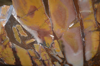 Polished On One Side Nguni Jasper Specimen x 1 From Prieska, South Africa