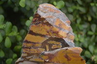 Polished On One Side Nguni Jasper Specimen x 1 From Prieska, South Africa