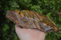 Polished On One Side Nguni Jasper Specimen x 1 From Prieska, South Africa