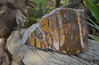 Polished On One Side Nguni Jasper Specimen x 1 From Prieska, South Africa