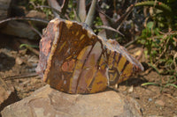 Polished On One Side Nguni Jasper Specimen x 1 From Prieska, South Africa