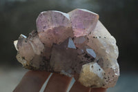 Natural Jacaranda Amethyst Quartz Clusters x 6 from Mumbwa, Zambia