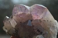 Natural Jacaranda Amethyst Quartz Clusters x 6 from Mumbwa, Zambia