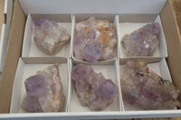 Natural Jacaranda Amethyst Quartz Clusters x 6 from Mumbwa, Zambia