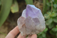 Natural Jacaranda Amethyst Quartz Clusters x 6 from Mumbwa, Zambia