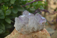 Natural Jacaranda Amethyst Quartz Clusters x 6 from Mumbwa, Zambia