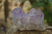 Natural Jacaranda Amethyst Quartz Clusters x 6 from Mumbwa, Zambia