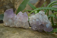 Natural Jacaranda Amethyst Quartz Clusters x 6 from Mumbwa, Zambia