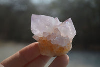 Natural Ametrine Spirit Quartz Clusters x 12 From Boekenhouthoek, South Africa