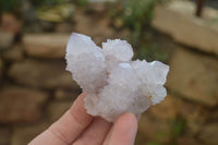 Natural Ametrine Spirit Quartz Clusters x 12 From Boekenhouthoek, South Africa