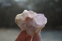 Natural Ametrine Spirit Quartz Clusters x 12 From Boekenhouthoek, South Africa