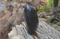 Polished Black Tourmaline Standing Free Form x 1 From Madagascar