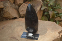 Polished Black Tourmaline Standing Free Form x 1 From Madagascar