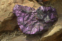 Natural Metallic Purpurite Cobbed Specimens x 6 From Erongo, Namibia