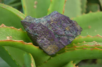 Natural Metallic Purpurite Cobbed Specimens x 6 From Erongo, Namibia