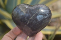 Polished Lepidolite with Pink Rubellite Gemstone Hearts x 6 From Madagascar