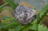 Polished Lepidolite with Pink Rubellite Gemstone Hearts x 6 From Madagascar