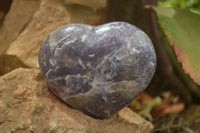 Polished Lepidolite with Pink Rubellite Gemstone Hearts x 6 From Madagascar