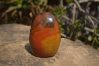 Polished Red Jasper Standing Free Forms x 6 From Madagascar