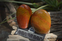 Polished Red Jasper Standing Free Forms x 6 From Madagascar