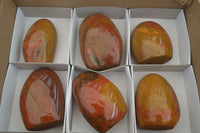 Polished Red Jasper Standing Free Forms x 6 From Madagascar