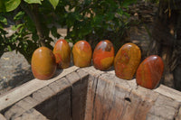 Polished Red Jasper Standing Free Forms x 6 From Madagascar