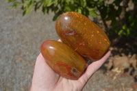 Polished Red Jasper Standing Free Forms x 6 From Madagascar