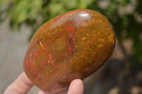 Polished Red Jasper Standing Free Forms x 6 From Madagascar