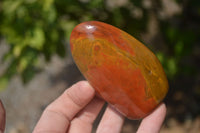 Polished Red Jasper Standing Free Forms x 6 From Madagascar