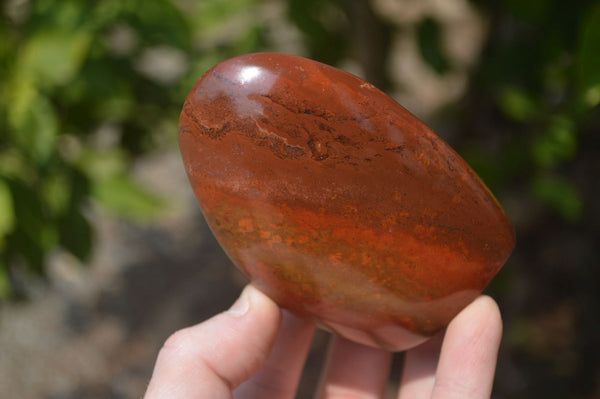 Polished Red Jasper Standing Free Forms x 6 From Madagascar