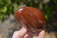 Polished Red Jasper Standing Free Forms x 6 From Madagascar