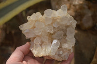 Natural Limonite Quartz Clusters x 3 From Zambia